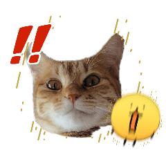 harurie_20260411125654