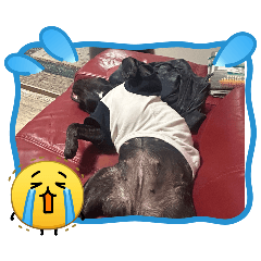 ayaka_20260411130503