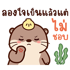 ซันนี่เจ้านากสีน้ำตาล3