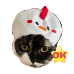 nie13th_20260411150745