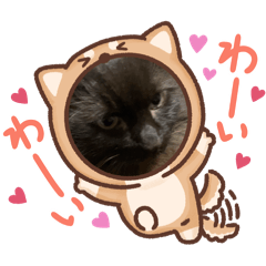 chaco_20260411164144