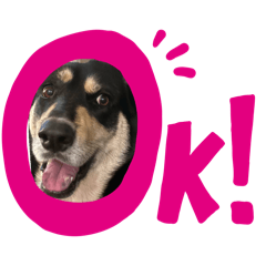 MamaAmi_20260411004837