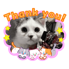 manatsanan Naeobanthat1605