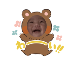 panda_20260411152939