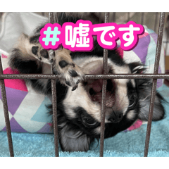 Tubudayo_20260411153559