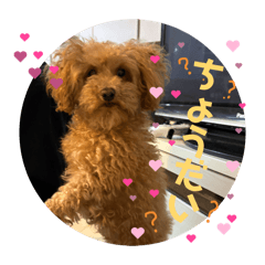 Sakugagahaha_20260411154407