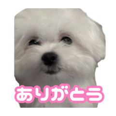 NONOKA_20260411154147