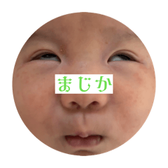 natsu_20260411172132