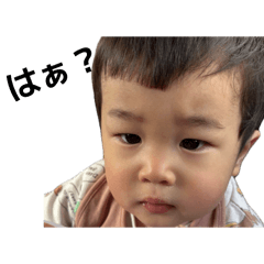 chanpi_20260407134029