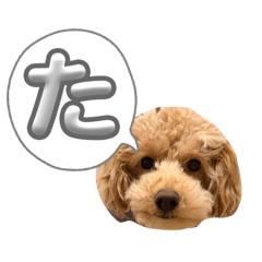 arutena_20260411172724