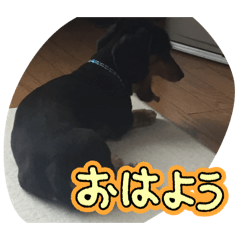 kaikuy_20260411155729