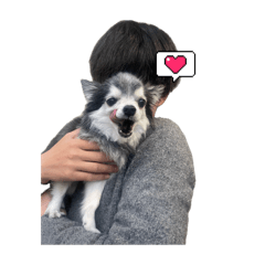 ossha__20260411160309