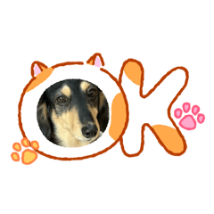 Sakugagahaha_20260411155935