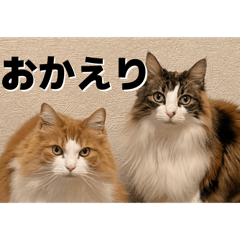 gula_roru_20260411161014