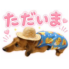 momo_20260411160323