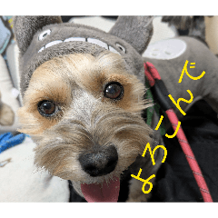 matsumoto_20260411175532