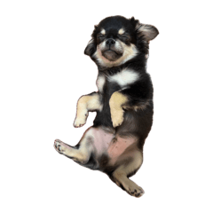 kuziraaa_20260411214242
