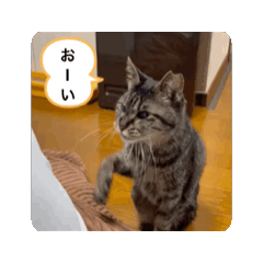 sentaro_20260412065311