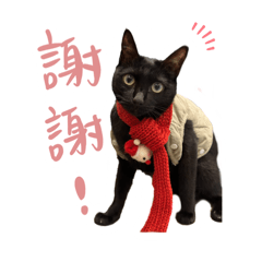 番麥與地瓜球 1.0