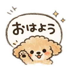 popola_20260411161954