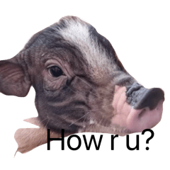 Horseygirl_equrestrian_20260411133352