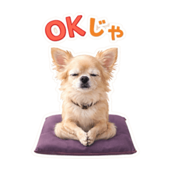 my stamp_20260411182947