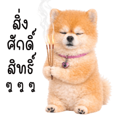 Steve is a troublemaker dog!