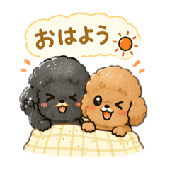 popola_20260411183048