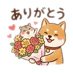 kakka_20260411182756