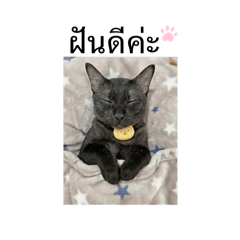 Srinin_20260411125508