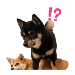 nekoya_20260411190708