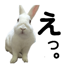 mochimari_20260411190652