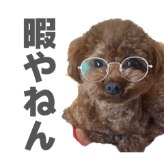 Musashi's Room_20260411190947