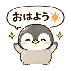 popola_20260411174504