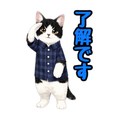 miyatatsu_20260411195055
