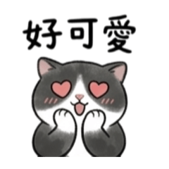 可愛爆擊！賓士貓の日常貼圖