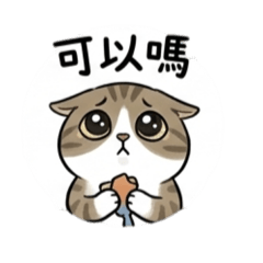 超實用！虎斑貓日常貼圖