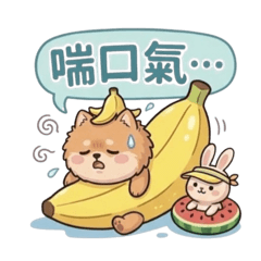 古錐瑪妮的的夏日趴