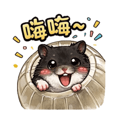 黃金皮蛋的日常