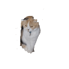 j_20260411193717