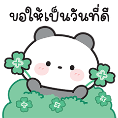 Pandy : Mini cute panda