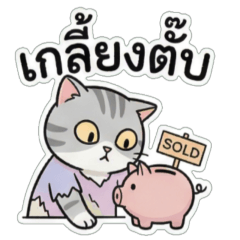 Pastel Broke Cat V1.1