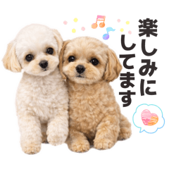 Yumimi_20260411205820