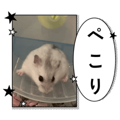 @mutan_20260411214114