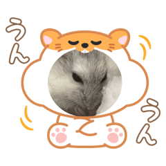 @mutan_20260411214732