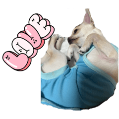 kazun_20260411225945