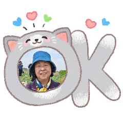 小小思念