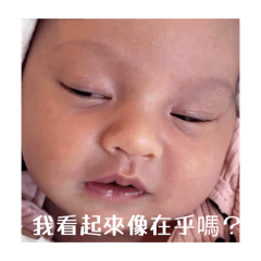 Cutie_20260411225039