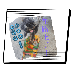 陳叮噹與陳圓圓