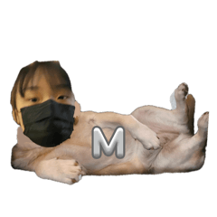 我與我不堪的朋友